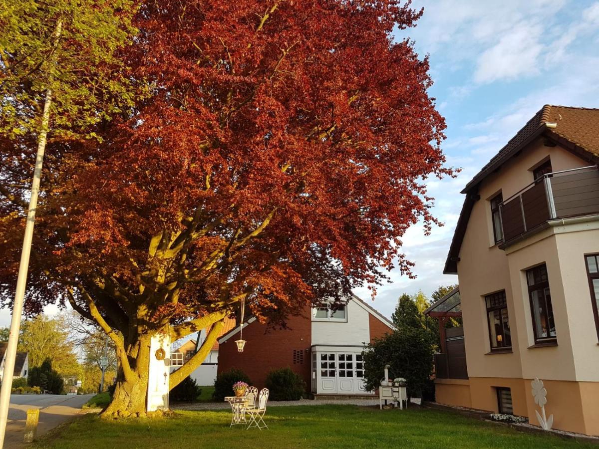 Ostsee Ferienwohnung Pelzerhaken Neustadt in Holstein Bagian luar foto
